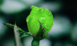 cambiar el color de un objeto en photoshop feat