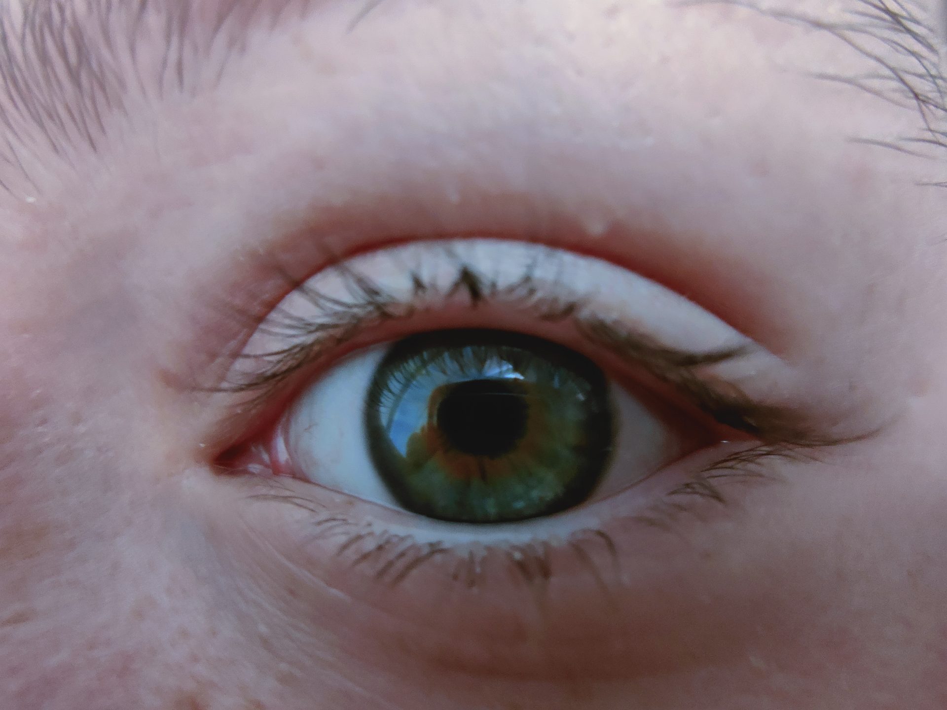 Oppo Find X2 Pro fotos de muestra