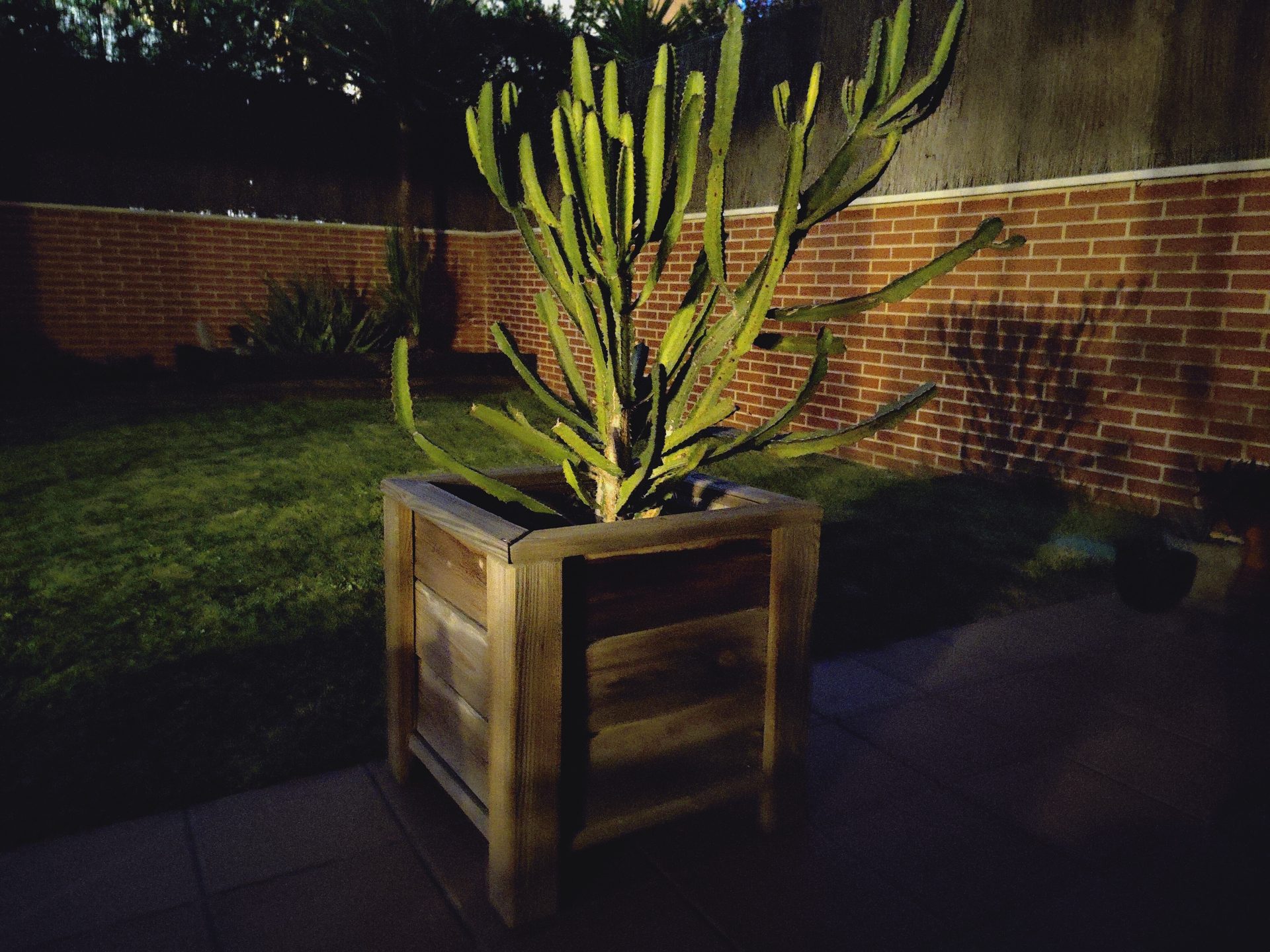 Oppo Find X2 Pro fotos de muestra