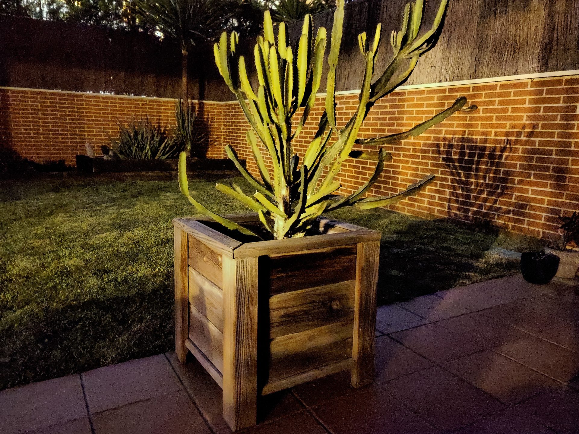 Oppo Find X2 Pro fotos de muestra