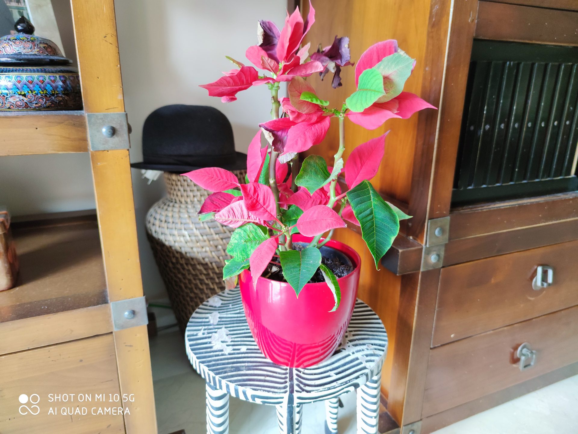 foto de muestra xiaomi mi