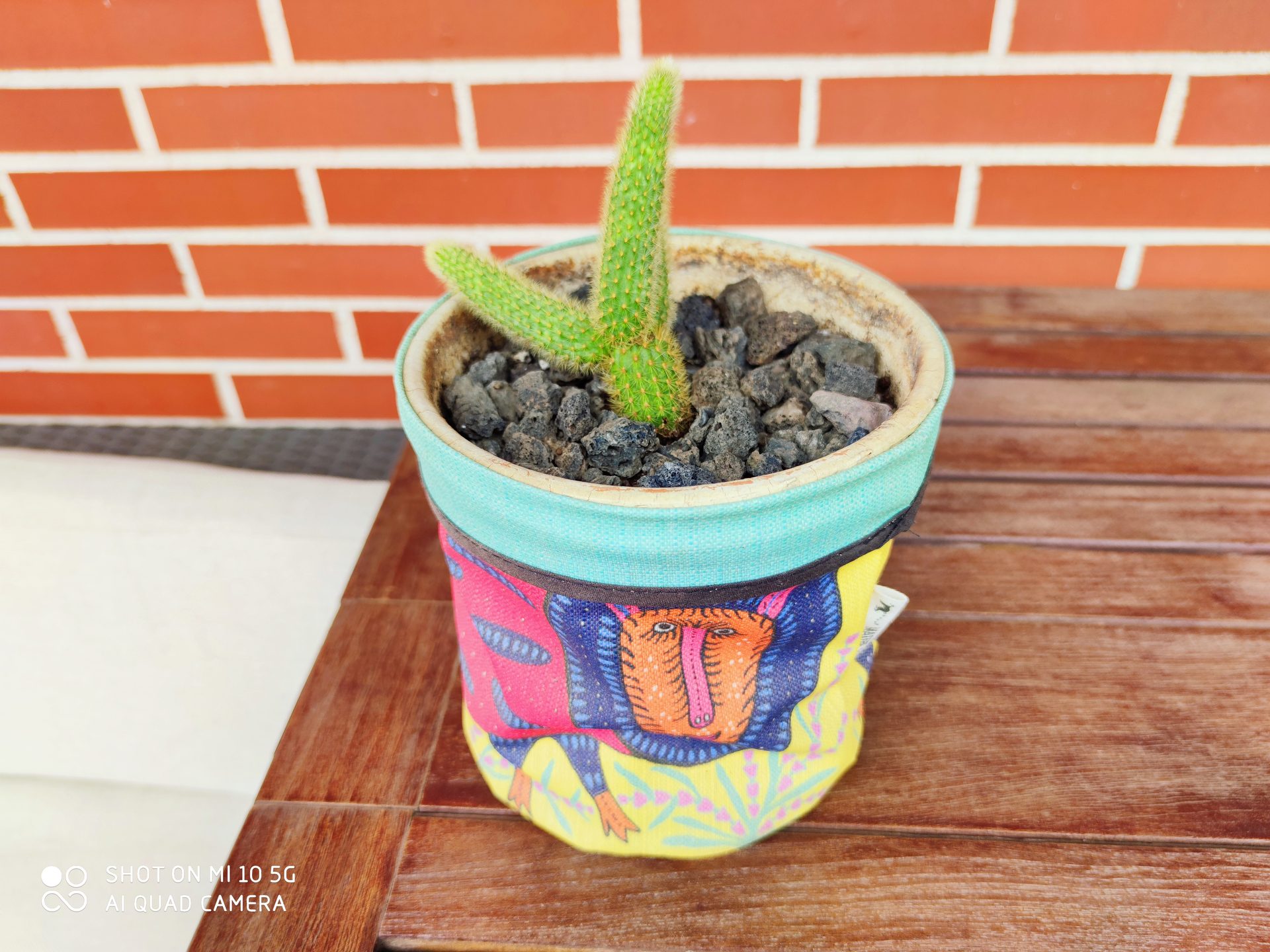 foto de muestra xiaomi mi