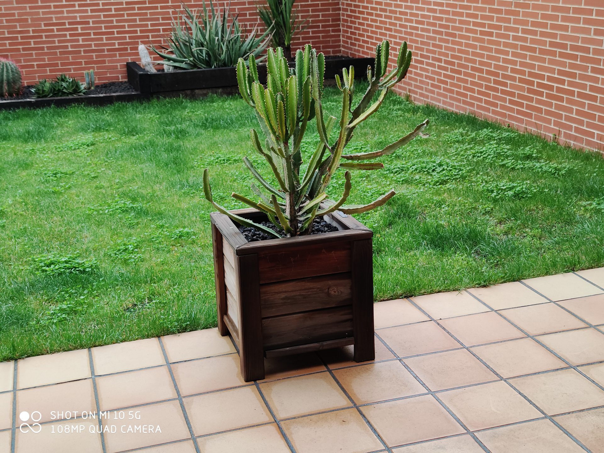 foto de muestra xiaomi mi