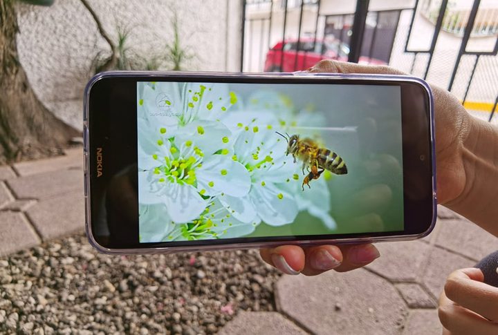 Usuario sosteniendo el Nokia 2.3