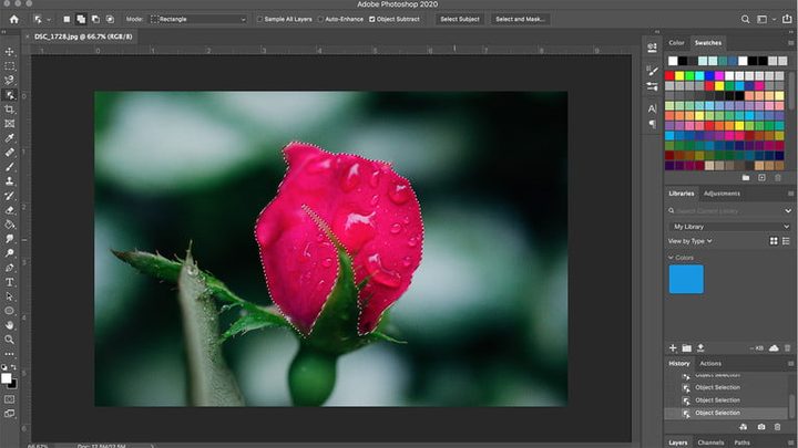 Una rosa roja para aprender a cambiar el color de un objeto en Photoshop