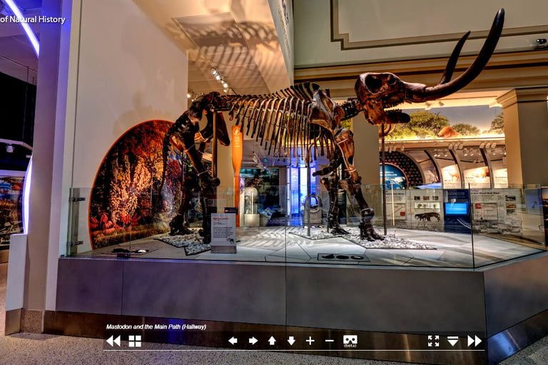 Tour virtual en el Museo Smithsoniano de Historia Natural