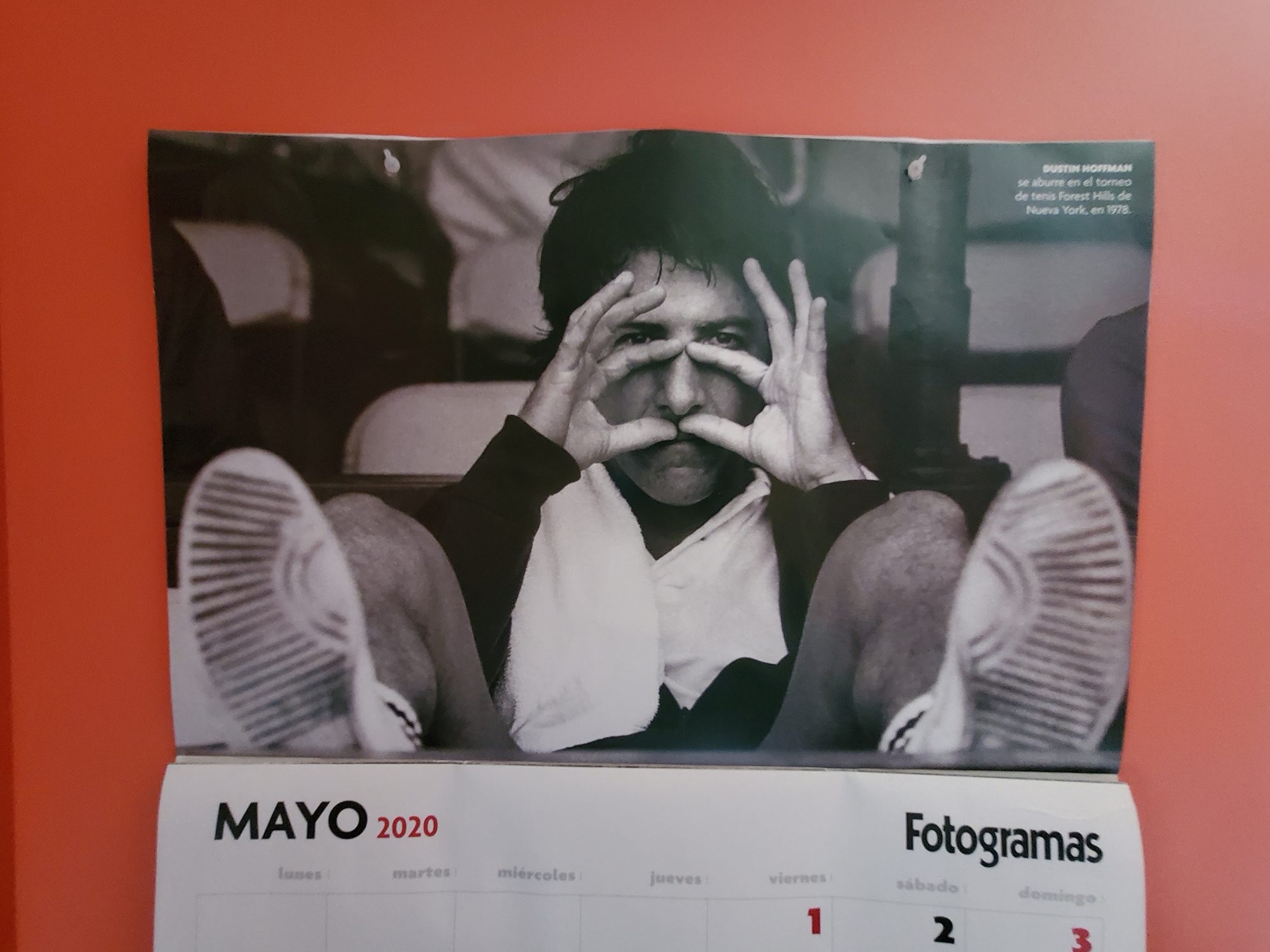 revision samsung galaxy z flip foto 3