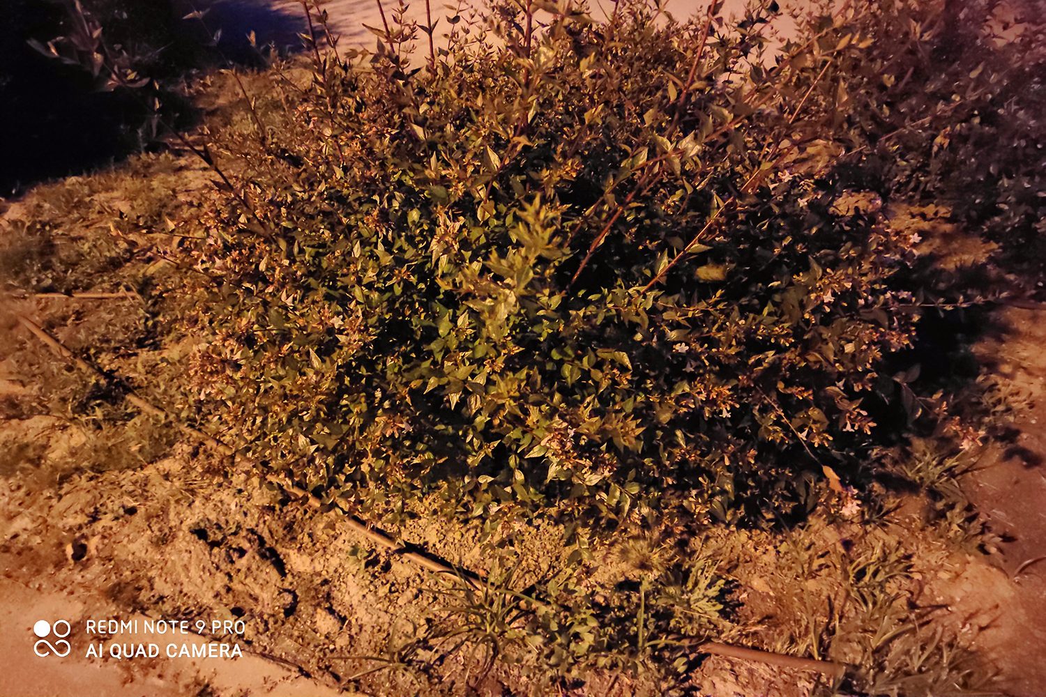 revision redmi note 9 pro foto modo noche