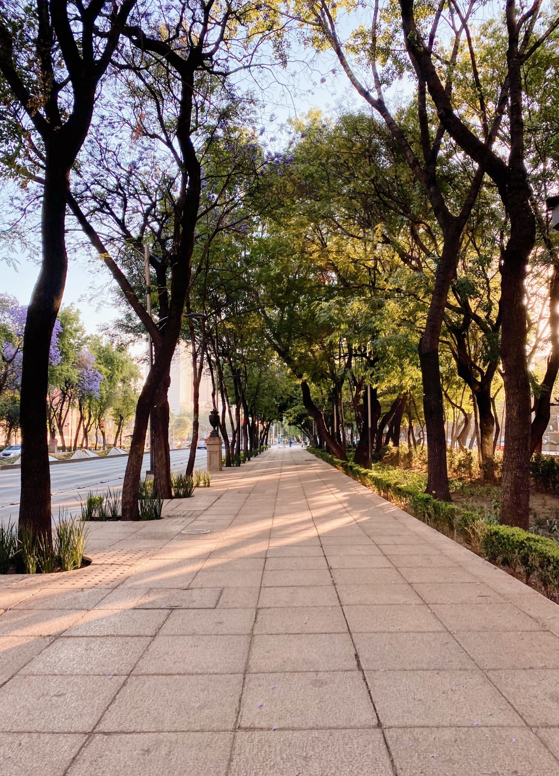 ciudades durmientes iphone processed with vsco al3 preset