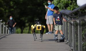 spot boston dynamics distanciamiento social singapur 2