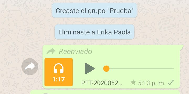Interfaz de chat en WhatsApp.