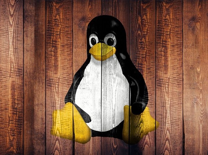 Una tabla con el graffiti de Tux, la mascota de Linux