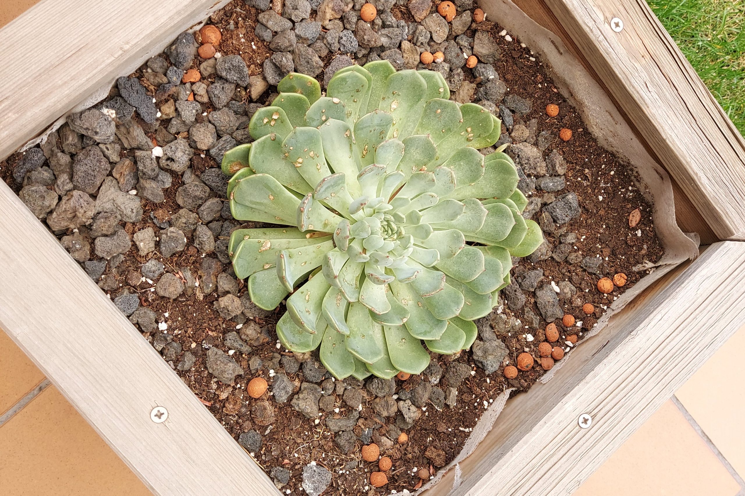 revision galaxy s10 lite foto 3