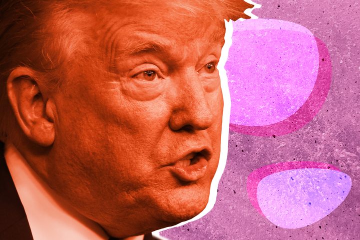 Trump stylized image