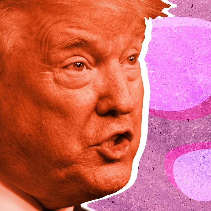 Trump stylized image