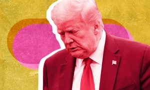 Trump stylized image