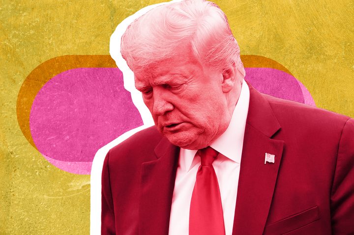 Trump stylized image