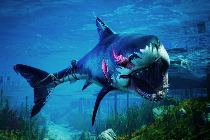 Un tiburón en Maneater