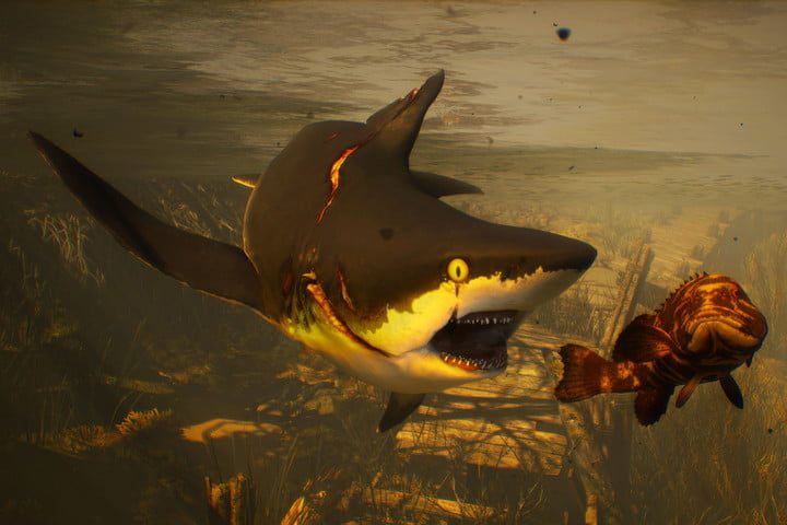 Un tiburón en Maneater