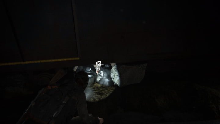 Aquí está una carta coleccionable de Last of Us Part II