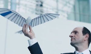 Este pájaro robot vuela con una increíble naturalidad