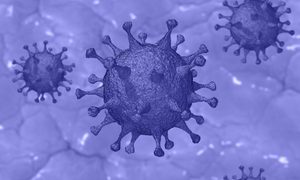 coronavirus