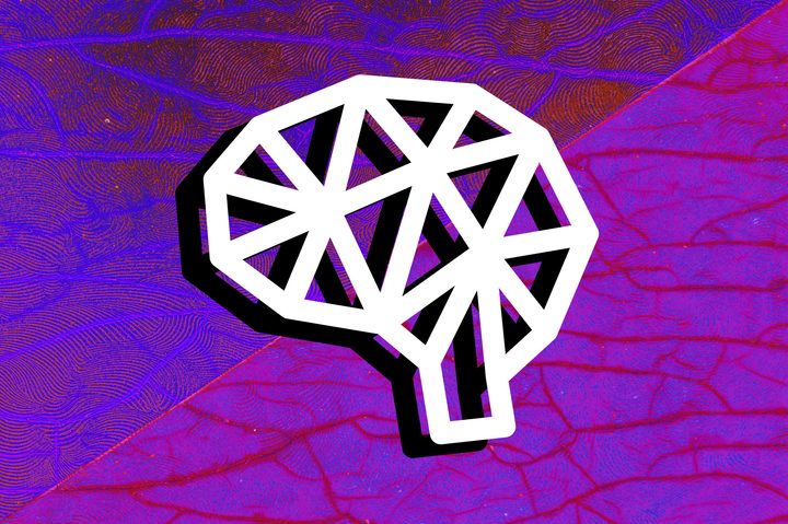 brain network on veins illustration