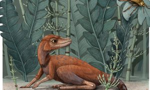 ancestro dinosaurios celular kongonaphon