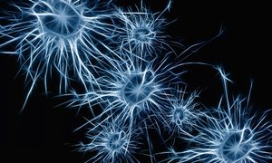 Las mejores aplicaciones para ejercitar tu cerebro