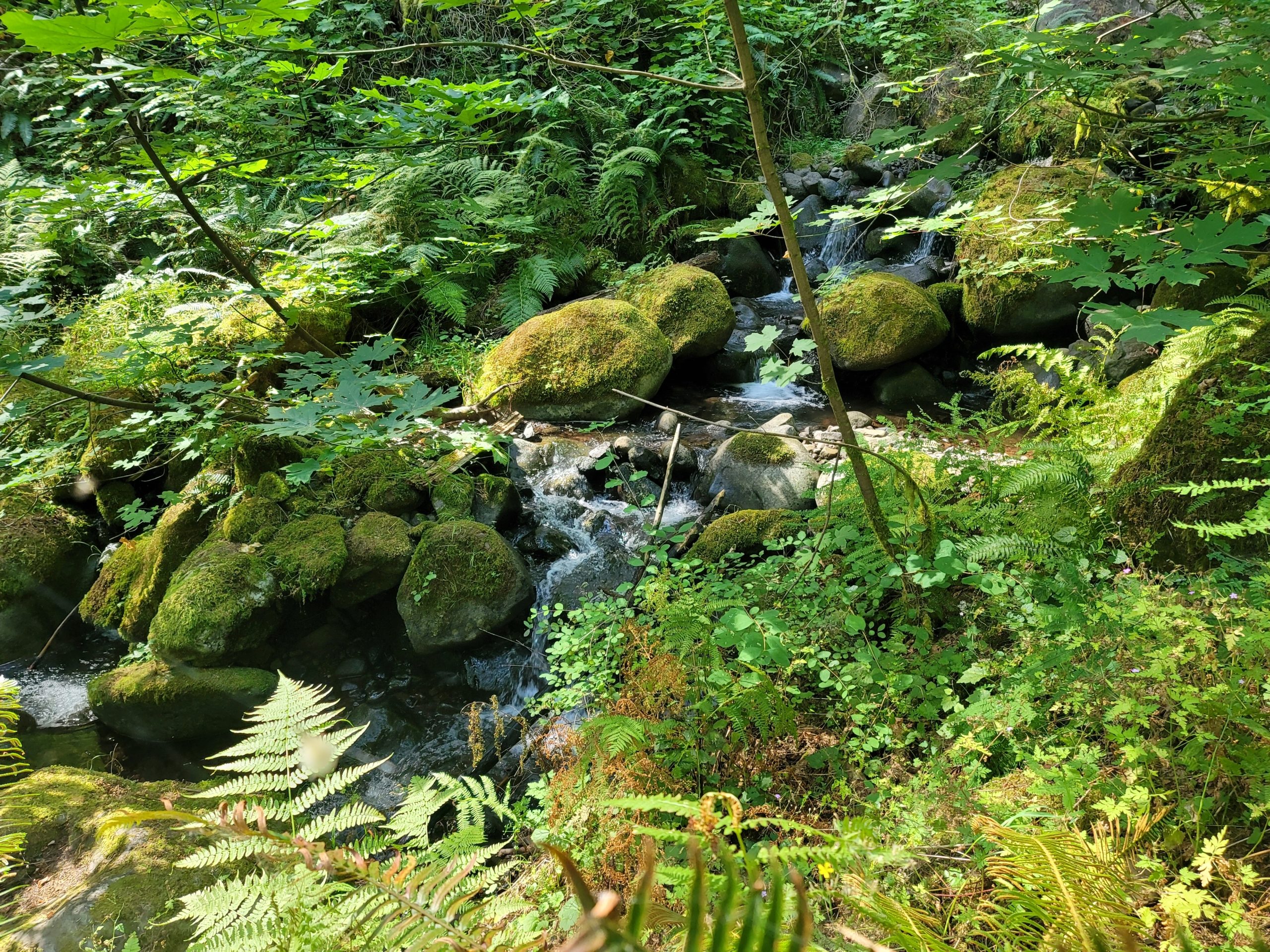 revision samsung galaxy note 20 ultra 20200816 105558