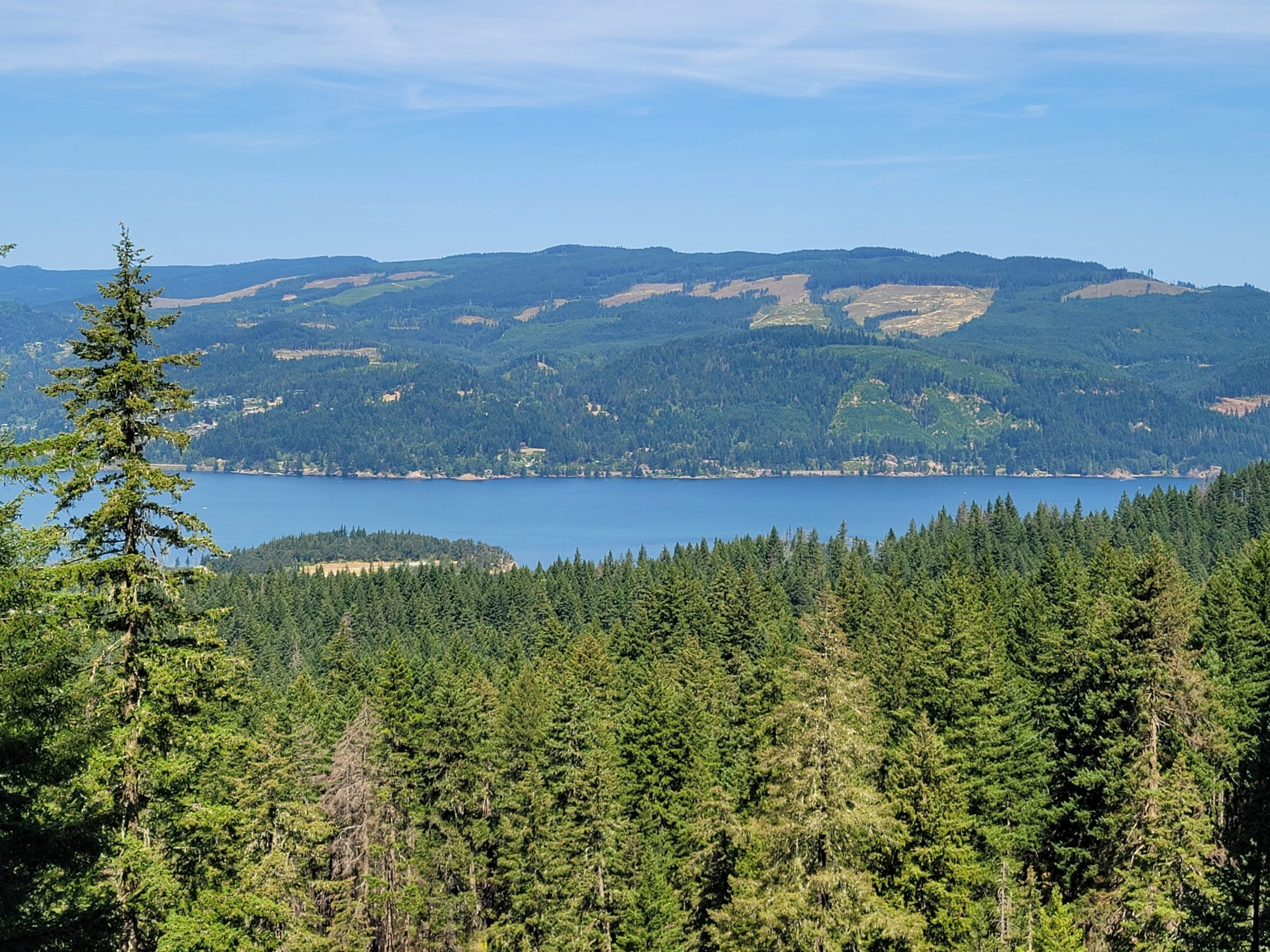 revision samsung galaxy note 20 ultra 20200816 115618