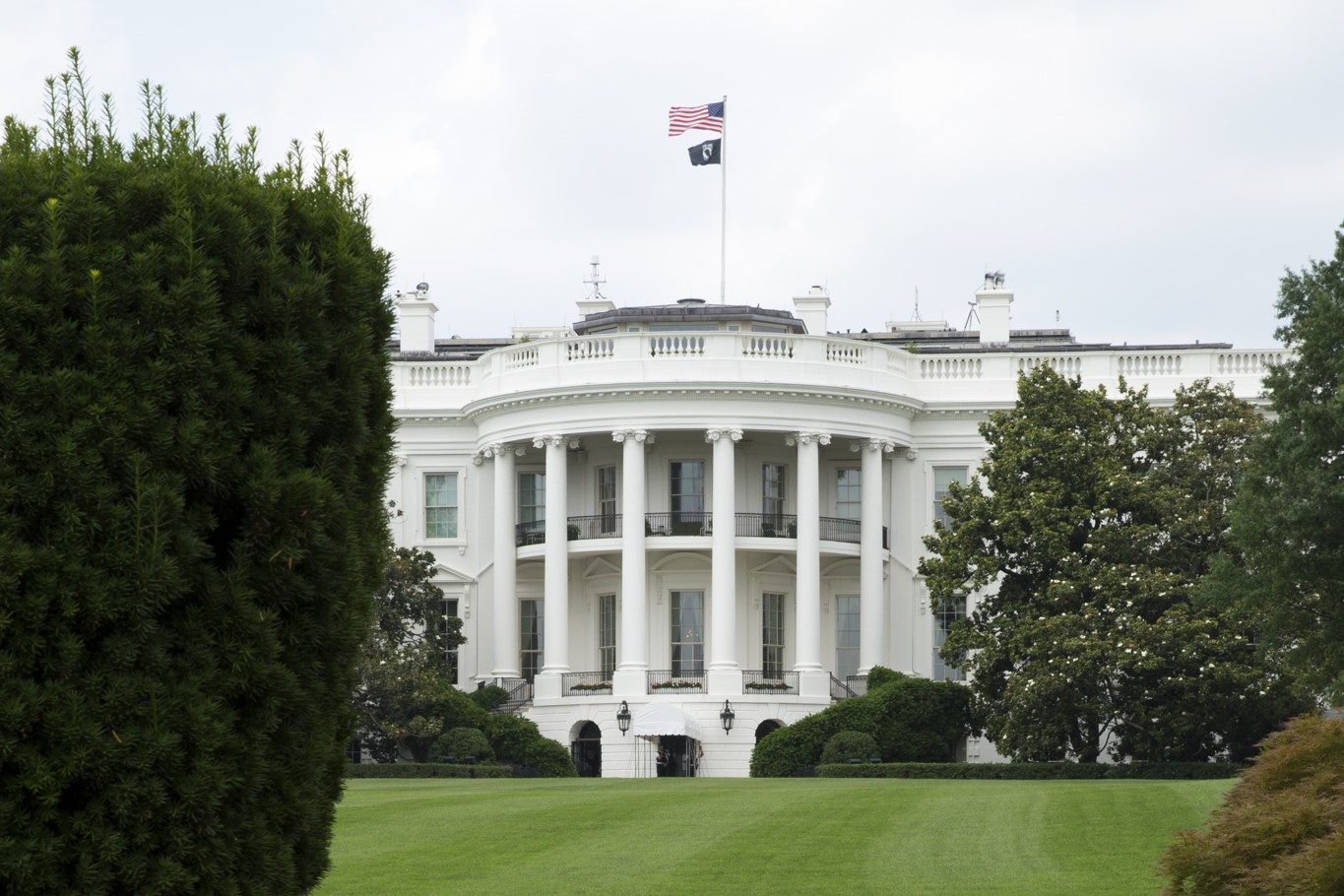 Experto revela cuál es el método de votación más seguro