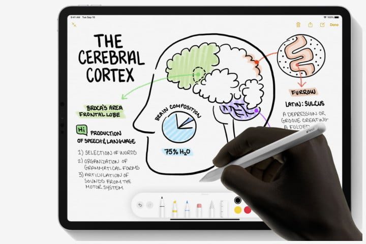 Apple Pencil (2nd Generation), uno de los mejores accesorios para iPad