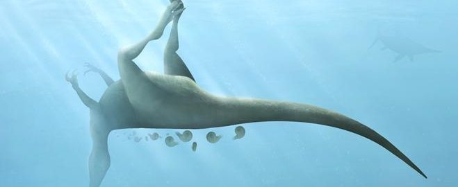 Silueta y huesos del Vectaerovenator inopinatus