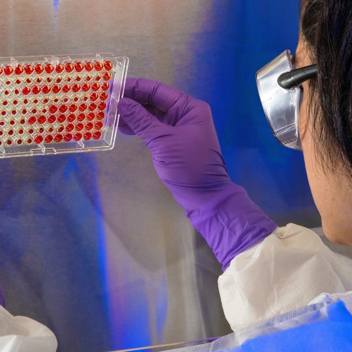 Una investigadora sostiene muestras de sangre