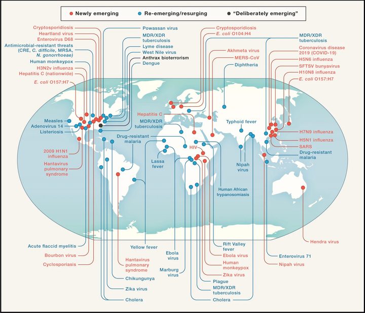 mapa enfermedades