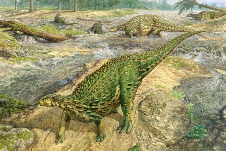Scelidosaurus