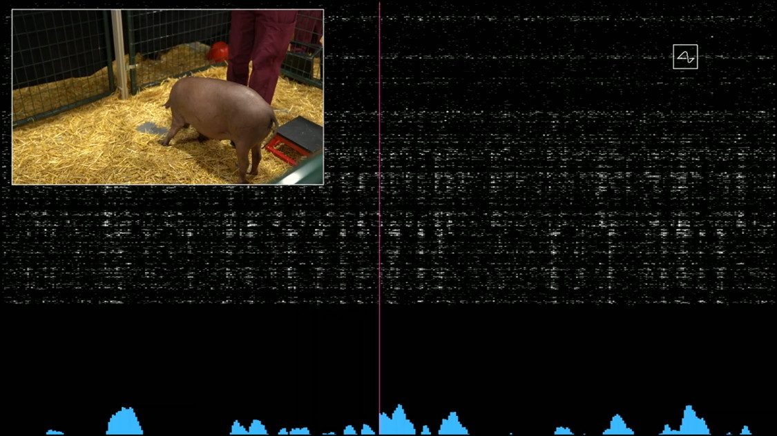 demo proyecto neuralink screenshot 2020 08 28 progress update  summer 2