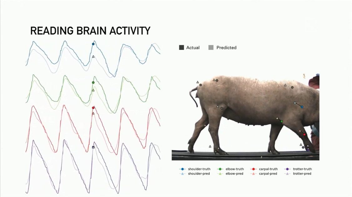 demo proyecto neuralink screenshot 2020 08 28 progress update  summer 3
