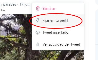 Fijar un tuit en Twitter