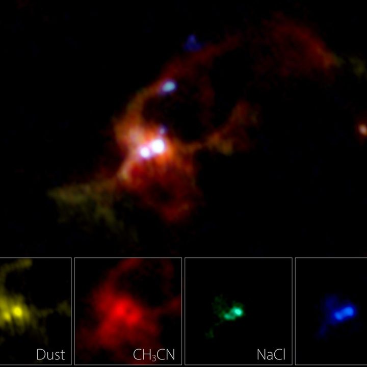 Par de estrellas bebés gigantes registradas por ALMA.