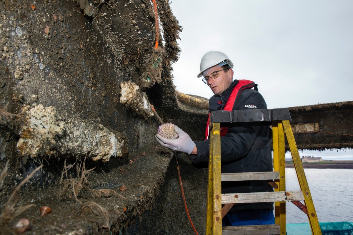centro datos submarino microsoft eficacia project natick  vessel retrieval stromness orkney tuesday 7th to wednesday 15th of 