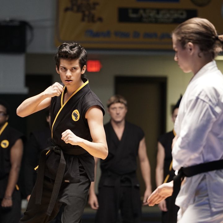 Cobra Kai, Netflix