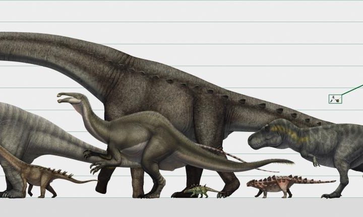 Comparación de tamaños de dinousarios con personas