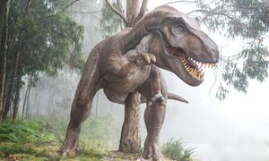 Un tiranosaurio rex