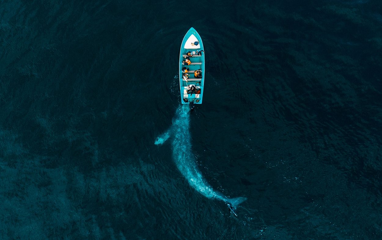 Fotograf&iacute;a de Joseph Cheires. Drone Photo Awards 2020