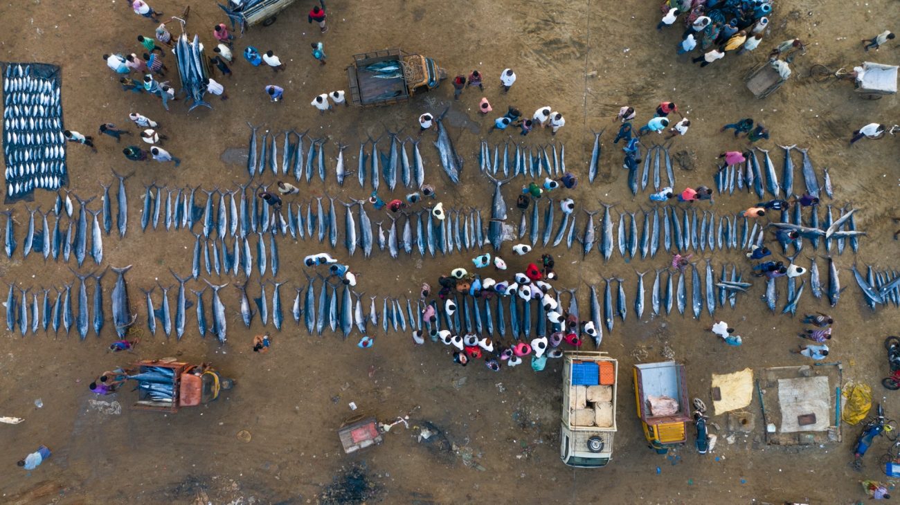 Fotograf&iacute;a del Drone Photo Awards 2020