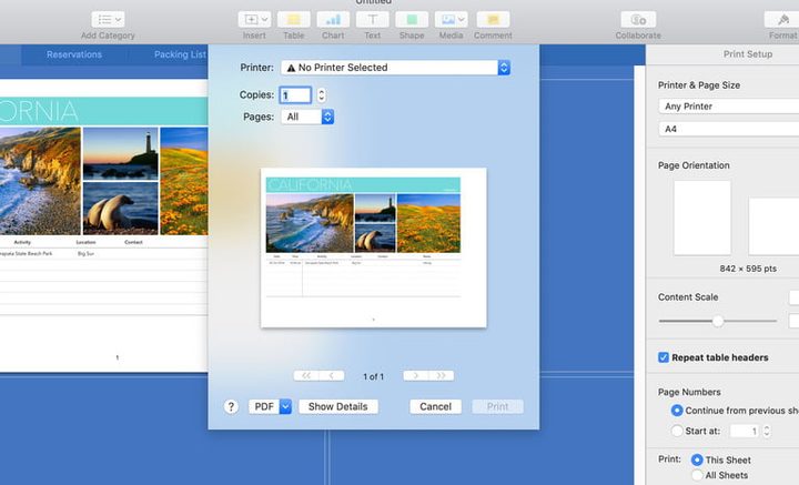 Pantalla de configuración para imprimir un PDF en MacOS