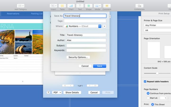 Guardando un archivo para imprimir un PDF en MacOS