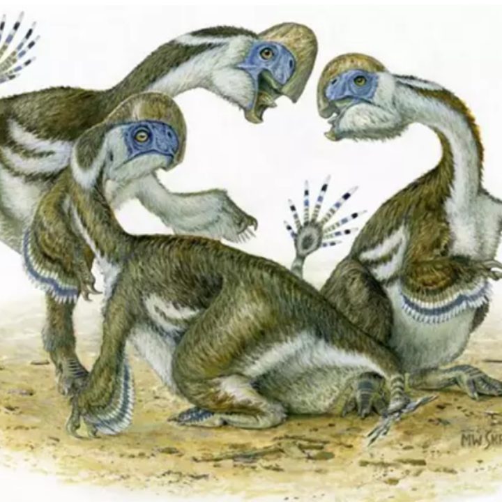 La imagen muestra una nueva especie de dinosaurio descubierta.